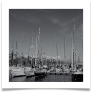 Marina - John North